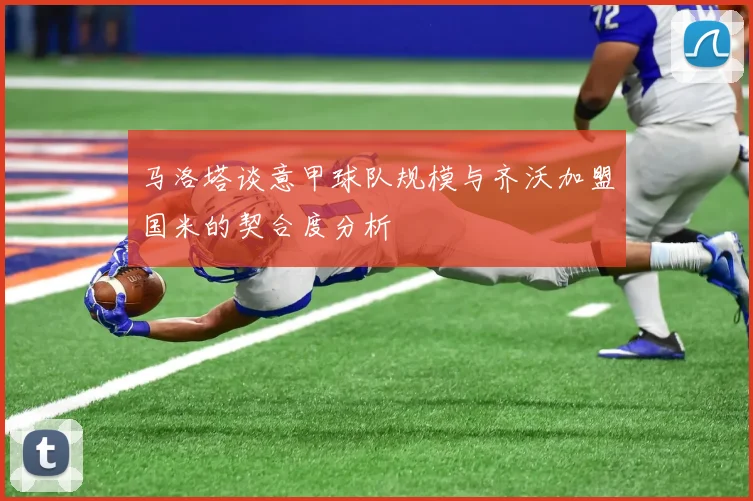 马洛塔谈意甲球队规模与齐沃加盟国米的契合度分析